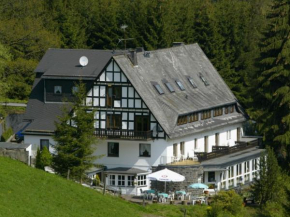 Holiday home near the ski area in Winterberg